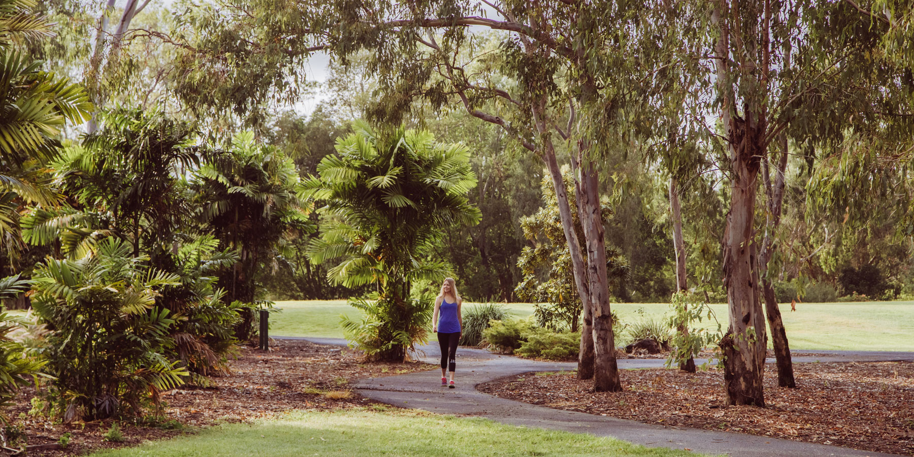 Woman walking on footpath in Kershaw Gardens, shaded by gum trees and palms