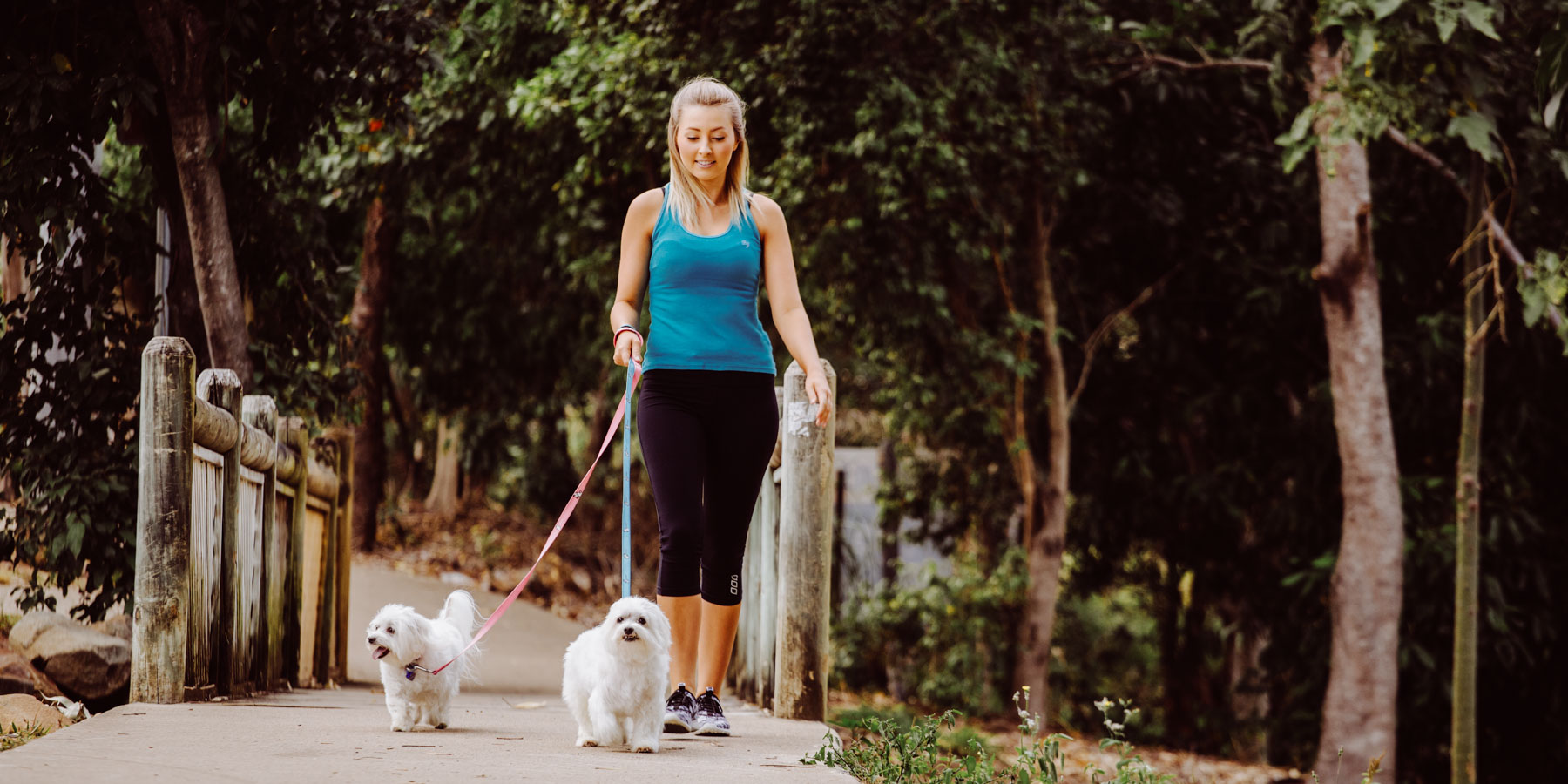 Woman walking dogs on the Vince Lester footpath and fitness trail