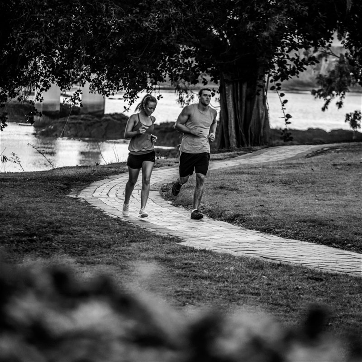 Rocks Riverside Parkrun Parkrun Yeppoon Rocky River Run